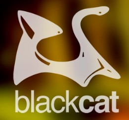 BLACK CAT CAFÉ – BRUNSWICK